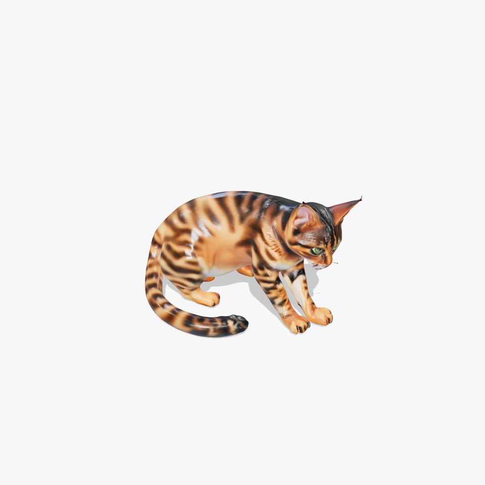 Bengal Cat Realistic Model Pack for D Design